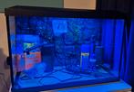 Superfish 70 tropisch aquarium compleet. 60 liter, Ophalen, Zo goed als nieuw, Leeg aquarium