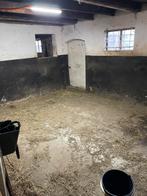 Paardenstal te huur, Dieren en Toebehoren, Stalling en Weidegang, Stalling