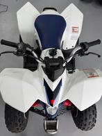 Suzuki QuadSport ltz90- Jeugd Quad, Motoren