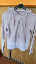 Capuchon vest, Paars, Overige typen, Ophalen of Verzenden, Maat 36 (S)