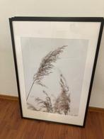 Groot Ikea Ribba Lijst met foto's - 61x91cm - 3 stuks, Ophalen, Kunststof, Zo goed als nieuw, 75 cm of meer