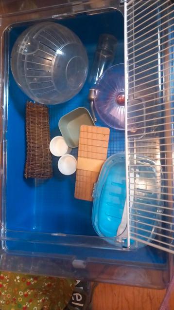 Hamsterkooi en spullen.  beschikbaar voor biedingen