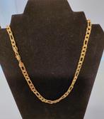 nieuwe stoere koningsketting 50 cm, Sieraden, Tassen en Uiterlijk, Kettingen, Verzenden, Nieuw, Goud, Goud