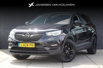 Opel Grandland X 1.2 Turbo Business Edition / Navigatie / St beschikbaar voor biedingen