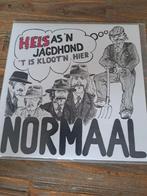 NORMAAL SINGLE PIRAAT., Cd's en Dvd's, Vinyl | Nederlandstalig, Ophalen of Verzenden, Zo goed als nieuw, Overige formaten, Levenslied of Smartlap