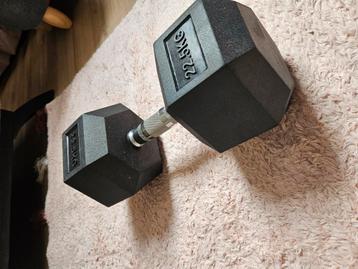 Hexa rubber dumbbell 22.5 kg beschikbaar voor biedingen