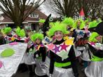 Complete Carnavals Loopgroep  ALIEN THEMA 98 Personen!, Kleding | Dames, Carnavalskleding en Feestkleding, Ophalen, Zo goed als nieuw
