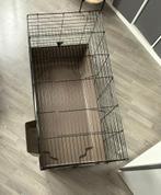 Kooi - knaagdieren, Dieren en Toebehoren, Kooi, Zo goed als nieuw, 75 tot 110 cm, Cavia