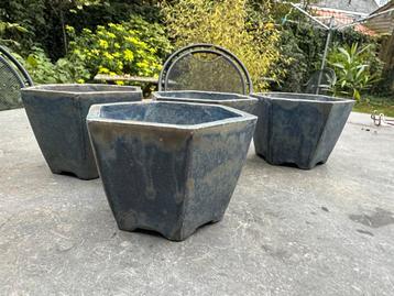 Vier zeshoekige bonsaipotjes handgemaakt beschikbaar voor biedingen