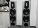 Piega TP5S, Zo goed als nieuw, 120 watt of meer, Front, Rear of Stereo speakers, Ophalen