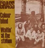 GRASS - COLOUR BLIND, Ophalen of Verzenden, Gebruikt, Pop