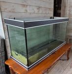 Aquarium 350L+tafel., Vis