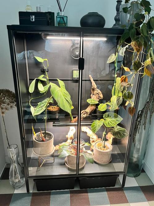 Ikea Rudsta greenhouse incl 2! Mother plantspectrum16 lampen, Huis en Inrichting, Kasten | Vitrinekasten, Gebruikt, 100 tot 150 cm