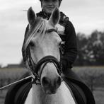 Allround D pony te koop, Dieren en Toebehoren, Pony's, Gechipt, Ruin, L, 11 jaar of ouder