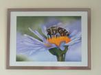 Bij op een bloem. (Eigen werk) Ingelijst airbrush schilderij, Ophalen
