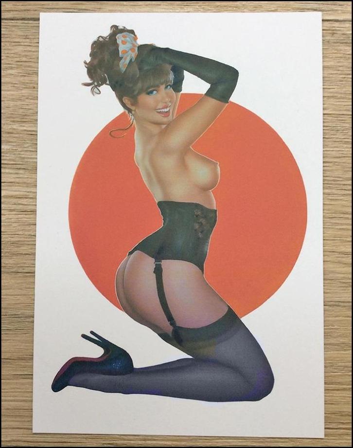 Sexy PIN UP Dame naakt retro Pinup Affiche Poster, Verzamelen, Retro, Huis en Inrichting, Verzenden