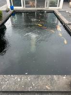Hdpe vijverbak 5,8x3,5x1.8, Tuin en Terras, Vijvers, Ophalen, Zo goed als nieuw