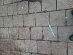 Gratis betontegel 30x30 cm, Tuin en Terras, Ophalen, Gebruikt, Beton, Terrastegels
