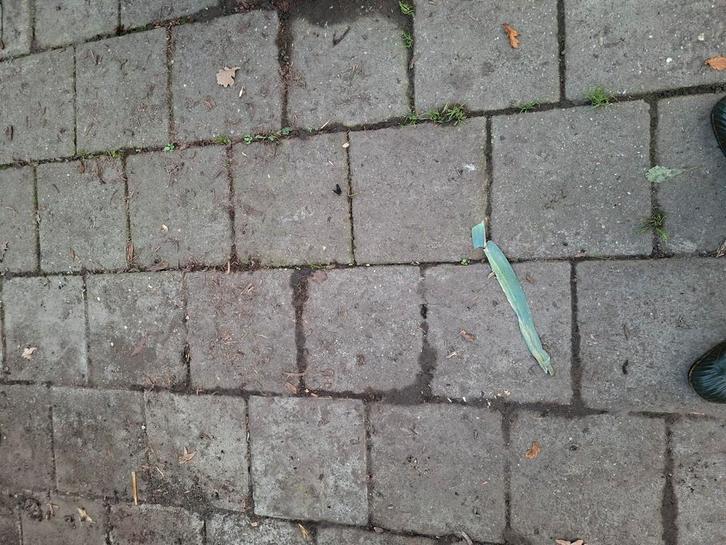 Gratis betontegel 30x30 cm, Tuin en Terras, Tegels en Klinkers, Gebruikt, Terrastegels, Beton, Ophalen