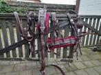 Bruin Ideal Leathertech enkelspan tuig, Dieren en Toebehoren, Paarden en Pony's | Hoofdstellen en Tuigage, Ophalen, Zo goed als nieuw