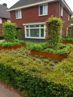 Cortenstalen bloembak/plantenbak   diverse maten of maatwerk, Ophalen of Verzenden, Nieuw, Metaal, Balkon