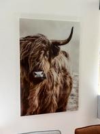 Schotse Hooglander, Ophalen, 75 tot 100 cm, Schilderij, 75 cm of meer