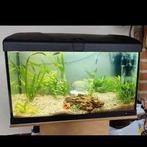 60 liter aquarium. Met alle benodigdheden., Ophalen, Gebruikt, Leeg aquarium