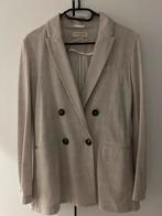 Blazer nieuw gestreept (zomer) Circolo 1901 maat 36/38, Ophalen of Verzenden, Nieuw, Maat 36 (S)