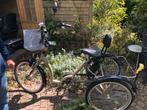 Electrische driewieler fiets elektrisch, Ophalen, Gebruikt