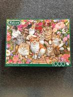 Puzzel katten, Ophalen of Verzenden, 500 t/m 1500 stukjes, Zo goed als nieuw