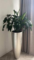 Champagnekleurig bloempot incl inzetbak, Tuin en Terras, Bloempotten, Overige materialen, Zo goed als nieuw, Balkon, Overige vormen