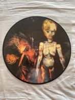 Nirvana Lithium 12” Picture, Ophalen of Verzenden
