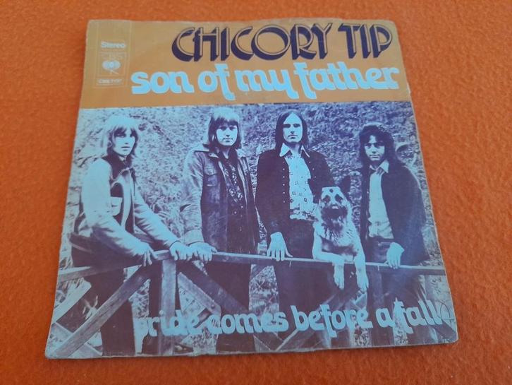 Chicory Tip - Son of my father (1972), Cd's en Dvd's, Vinyl Singles, Gebruikt, Single, Pop, 7 inch, Ophalen of Verzenden
