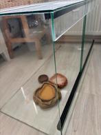 Terrarium Slang/Baardagaam 100x40x50, Dieren en Toebehoren, Reptielen en Amfibieën | Toebehoren, Ophalen, Gebruikt, Terrarium of Paludarium