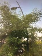 4 x lantaarnpaal 7m lantaarn paal gegalvaniseerd paardenbak, Tuin en Terras, Ophalen, Gebruikt, Staande lamp, Netvoeding