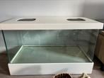 Terrarium, Ophalen, Gebruikt, 60 tot 90 cm, 75 tot 110 cm