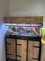 bioactief vivarium/paludarium + industrieel meubel, Ophalen, Gebruikt