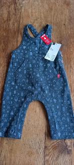 Kerstbroekje maat 56, Kinderen en Baby's, Babykleding | Maat 56, Broekje, Jongetje of Meisje, Nieuw, Ophalen of Verzenden