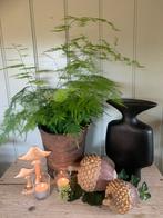 2 eikels, herfst decoratie, Huis en Inrichting, Ophalen of Verzenden, Nieuw