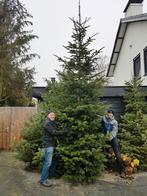 Prachtige Nordmann Kerstbomen tot 6 Meter!, Tuin en Terras, Planten | Bomen, Ophalen of Verzenden, Overige soorten, 400 cm of meer