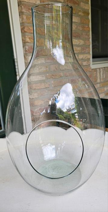 Grote Planten terrarium/decoratieve glazen fles voor planten beschikbaar voor biedingen