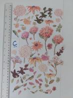 Diecuts C, Ophalen, Nieuw, Overige thema's, Pons of Mal