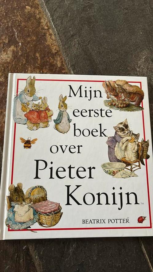 Beatrix Potter - Mijn eerste boek over Pieter Konijn, Boeken, Kinderboeken | Jeugd | onder 10 jaar, Gelezen, Ophalen of Verzenden