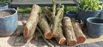 Grote partij openhaardhout - €45 per kuub, Tuin en Terras, Blokken, Ophalen, Overige houtsoorten
