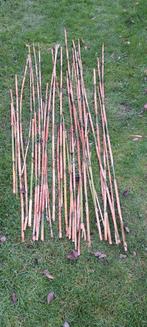 Bamboe stokken, Tuin en Terras, Kweekspullen, Ophalen, Zo goed als nieuw