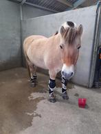 Premier-Equine Magni-teque magnetische beschermers paard, Dieren en Toebehoren, Ophalen of Verzenden, Zo goed als nieuw, Overige toepassingen