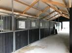 Zoek stalhulp in Garderen, Dieren en Toebehoren, Stalling en Weidegang, Stalling, 4 paarden of pony's of meer