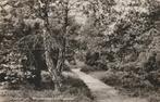 OOTMARSUM Wandelweg Springendal, Verzenden, 1960 tot 1980, Gelopen, Overijssel