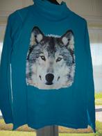 leuk jongensshirt maat 176 z.g.a.n., Kinderen en Baby's, Kinderkleding | Maat 176, Ophalen of Verzenden, Zo goed als nieuw, Meisje