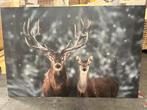 Canvas schilderij 120x80 cm herten NIEUW, Ophalen, Nieuw, Schilderij, 100 tot 125 cm